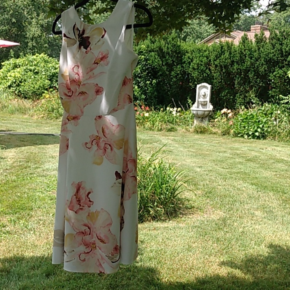 White House Black Market Floral Fit And Flare Dress Silky
